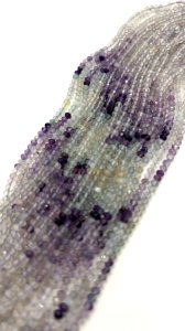 IMG_2609.jpeg